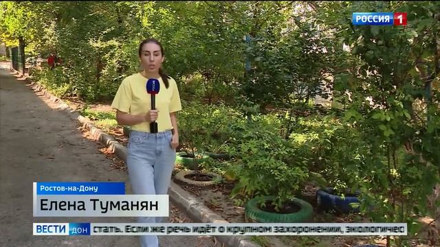 Токсичное благоустройство почему не стоит использовать старые покрышки для украшения двора смотреть онлайн