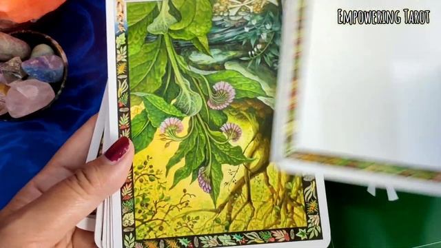 Percobaan Kartu The Druid Plant Oracle смотреть онлайн