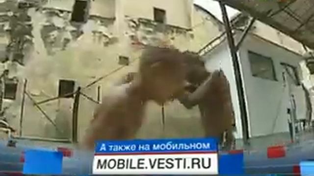 Бокс.Сборная Кубы выходит на профессиональный ринг смотреть онлайн