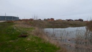 Половодье Рязань. Затопление Борки 2022