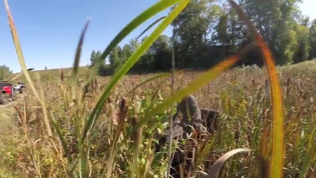 23 августа 2015 квадропокатушки нарезка позже смонтирую смотреть онлайн