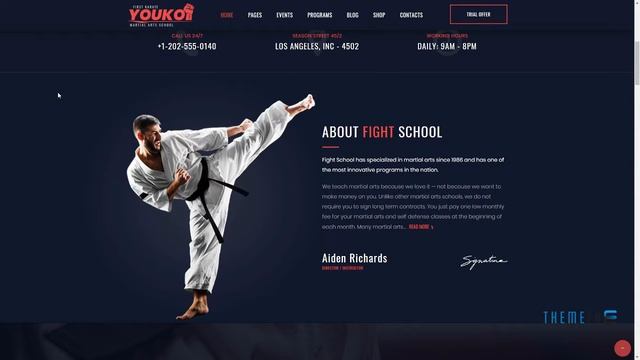 Youko - Martial Arts WordPress Theme Tiriaq Dawson смотреть онлайн