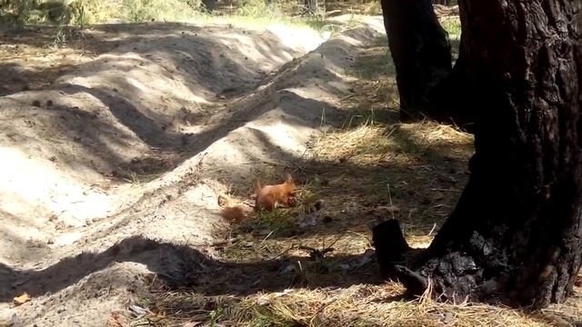 Добрая пословица не в бровь, а в глаз смотреть онлайн