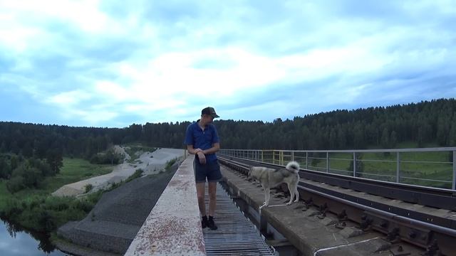 СОБИРАЕМ УРОЖАЙ ОСТАВЛЕННЫЙ ОТ РЖД!!! смотреть онлайн