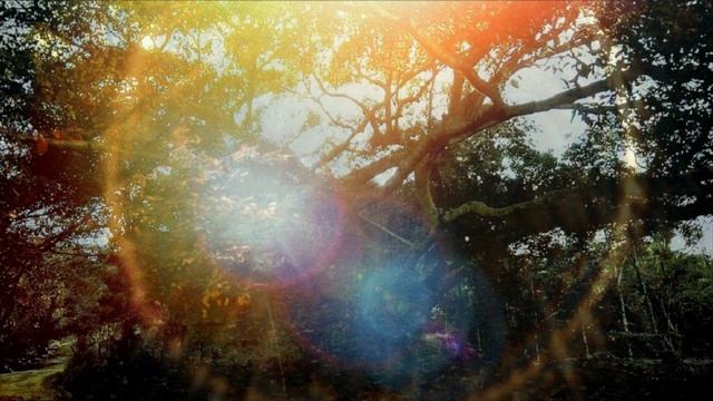 Генетический фонд Земли. Внутренние высоковибрационные слои Земли