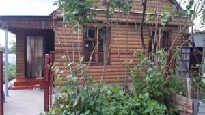 Обрезка сирени 2 в 1. Как обрезать сирень и «Убить двух зайцев». Как сделала я