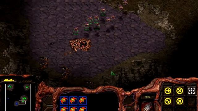 StarCraft Broodwar Remaster Ep 6 - Zerg campaign - Mission 1 - Vile Disruption - No Commentary смотреть онлайн