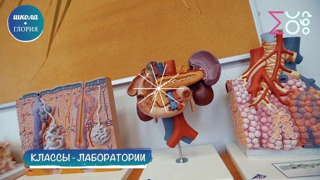 Школа Глория  Бибирево  СВАО  Москва