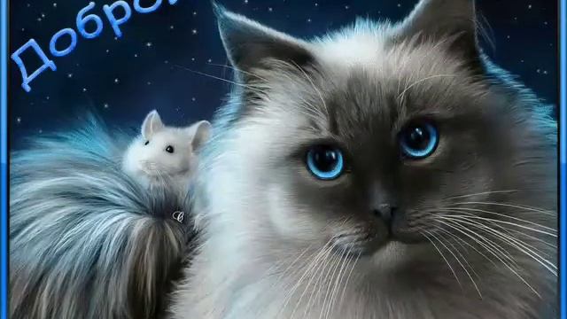 доброй ночи смотреть онлайн