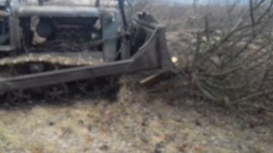 РАСКОРЧЁВКА СТАРЫХ САДОВ(корчевание деревьев трактором т-74 с лопатой).