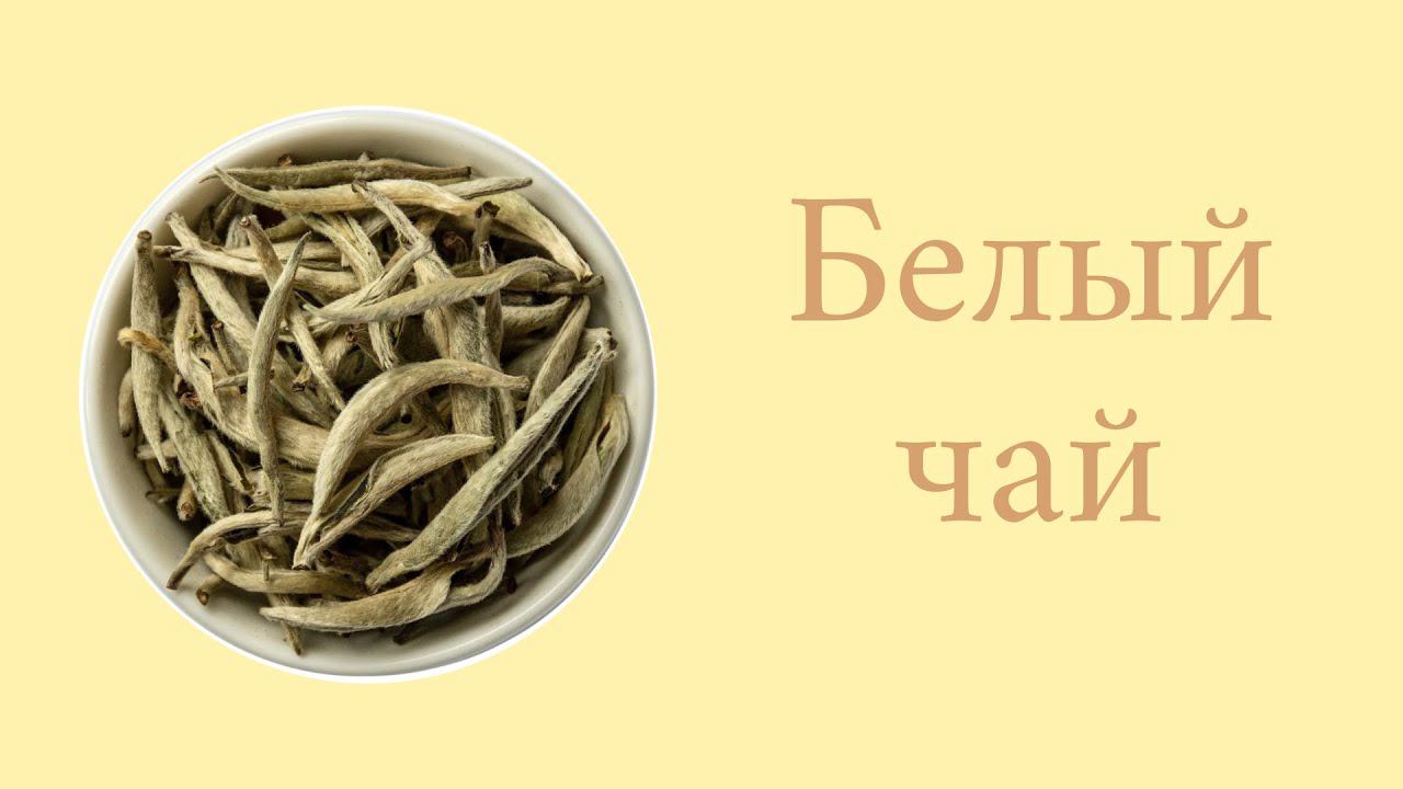 Белый чай смотреть онлайн