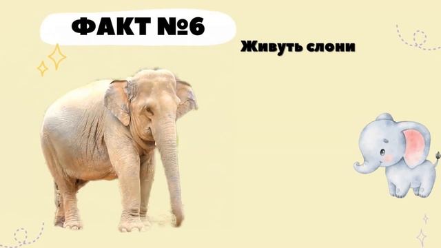 Цікаві факти про Слонів. Пізнаємо світ разом. 10 цікавих фактів про слонів. смотреть онлайн