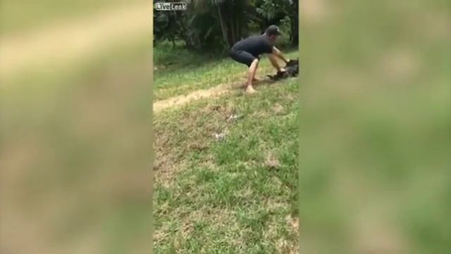 Мужчина спас собаку от анаконды