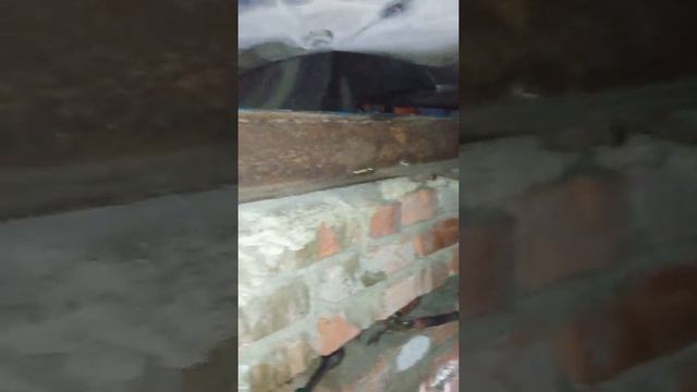 Замена нижней подушки двигателя (косточки) Рено Сценик 3 1.6DCI смотреть онлайн