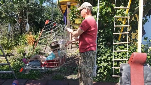 Качели из тележки супермаркета!?❗ смотреть онлайн