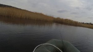 Рыбалка на свимбейты.