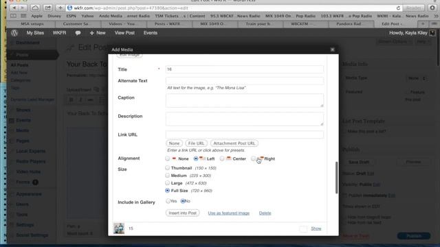 How To Create Photo Gallery In Wordpress смотреть онлайн