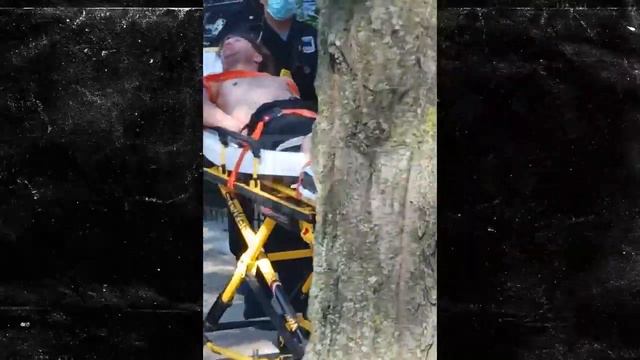 'Boardwalk Empire' Star Michael Pitt Taken To Hospital After Outburst In NYC | TMZ смотреть онлайн