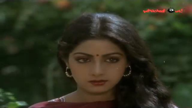 Sridevi In Telugu Movie 