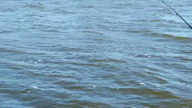 РЫБАЛКА НА ЛЕЩА / Лещ На Удочку. смотреть онлайн