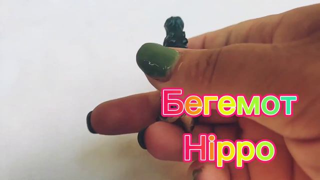 Учить легко диких животных на двух языках за 4 минуты смотреть онлайн