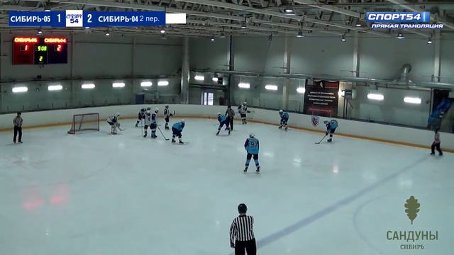 Первенство СФО и ДВФО (ЮХЛ). "Сибирь-2005" - "Сибирь-2004". 9 апреля 2022 года. смотреть онлайн