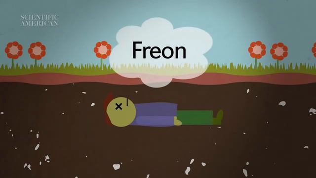 Що стається з тілом після смерті? смотреть онлайн