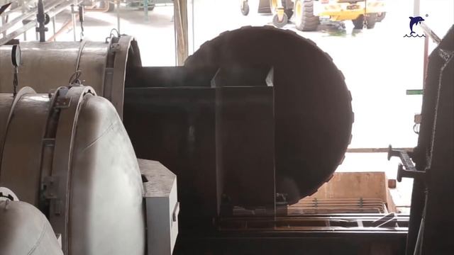 Плоды пальмового дерева ПАЛЬМОВОЕ МАСЛО ТЕХНИКА смотреть онлайн