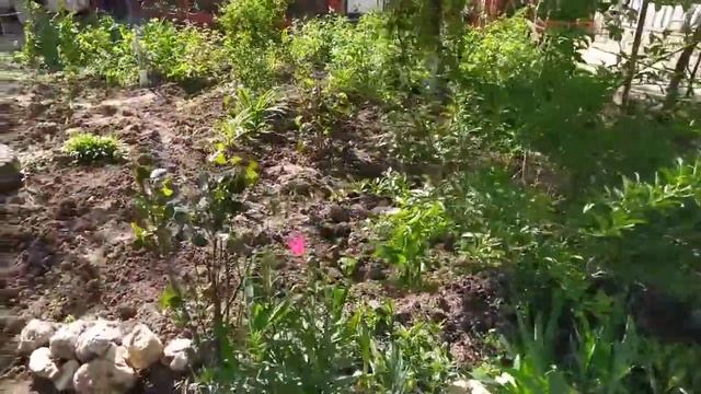 Покупки для всех