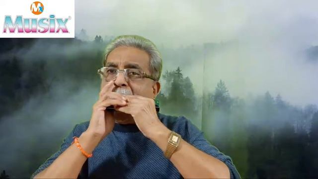 Retro Fun || Dil Bekarar sa Hai || Film:Ishara (1964) || Harmonica Cover || by DEEPAK VAIDYA смотреть онлайн