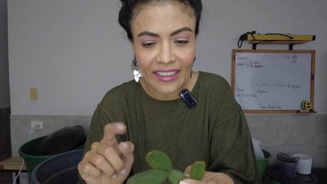 Replantando APESTADAS, plantando NUEVAS y cortando cabezas a las mas FEAS смотреть онлайн