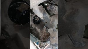 замена пыльника на шрус внутренний ниссан санни