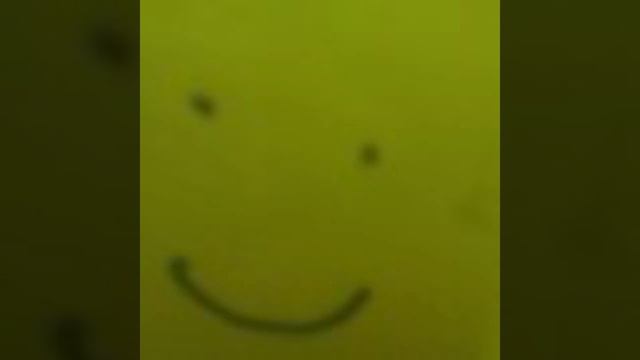 Roblox noob face смотреть онлайн