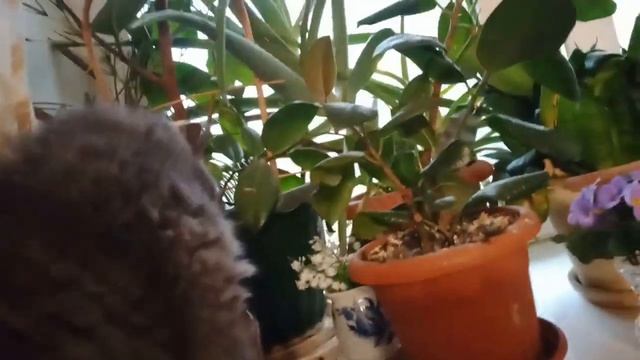 Бижутерия АБ/С чем носить/Аутфит/ смотреть онлайн