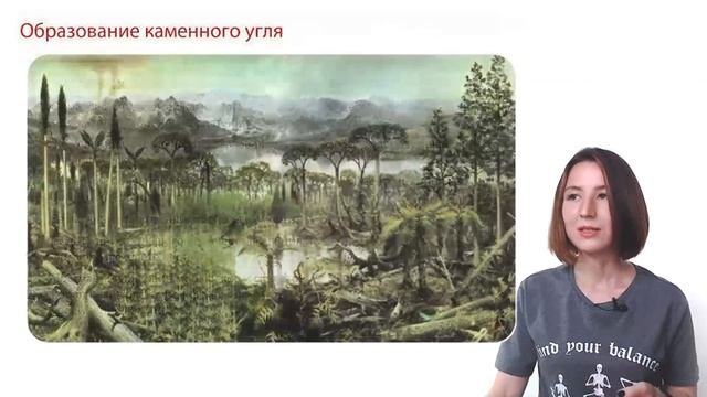 Разбор РЕАЛЬНОГО варианта ЕГЭ по БИОЛОГИИ 2022 основной волны в июне | ЕГЭ-2024 по биологии смотреть онлайн