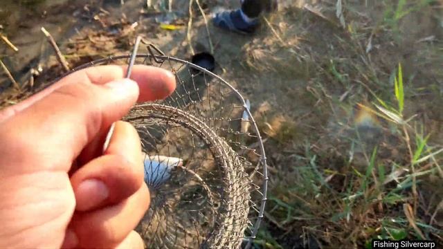 Рыбалка на закидушку.Готовим уху на природе? смотреть онлайн