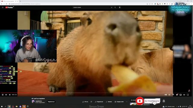 ГЕНСУХА СМОТРИТ НА КАПИБАР ПОД PLAYBOI CARTI - OK I PULL UP смотреть онлайн