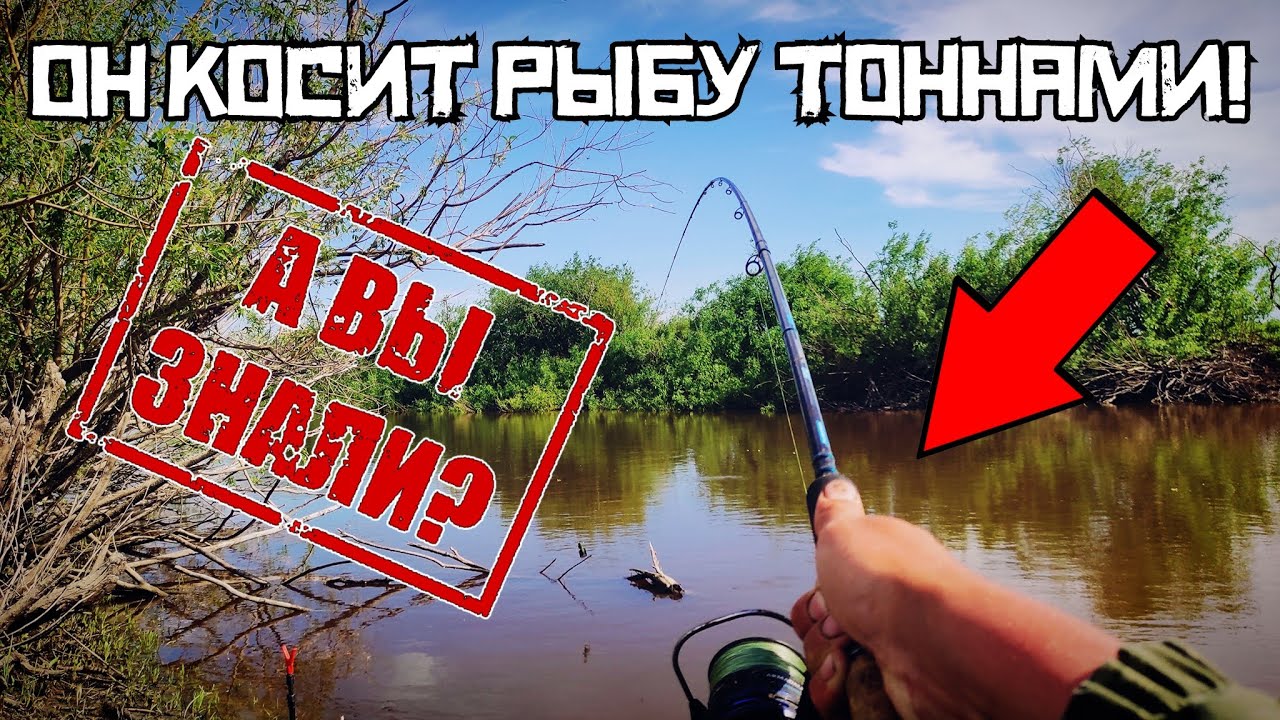 А вы знали про фидер проект без токена смотреть онлайн