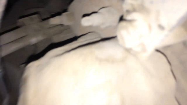 Номер двигателя форд фокус2 1.8 и 2.0/serial number engine Ford Focus2 1.8 and 2.0 смотреть онлайн
