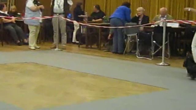 Quirin - V.MOV смотреть онлайн