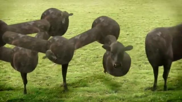 Капец таращит)) смотреть онлайн