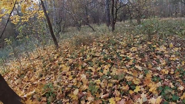 Подозрительно странное пятно в лесу Туда мы и пробрались смотреть онлайн