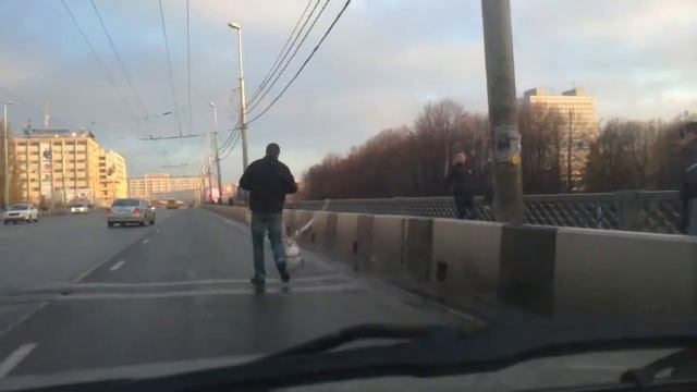 Лебедь на Эстакаде смотреть онлайн