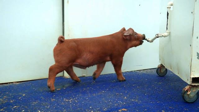 WL 3-5-25 | 7-2 смотреть онлайн