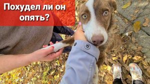 Наконец проведали Дозора спустя месяц.