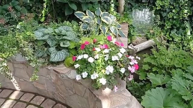 БОЛЬШАЯ ИЮлЬСКАЯ ПРОГУЛКА ПО САДУ. Обзор сада в начале июля. Розы, многолетники, гортензии. смотреть онлайн