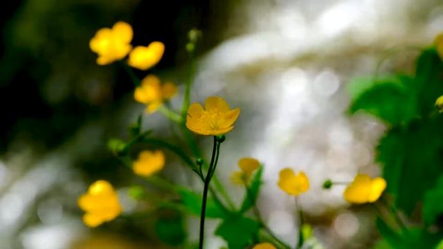 5 этапов продаж Лекция Талызина Артура смотреть онлайн