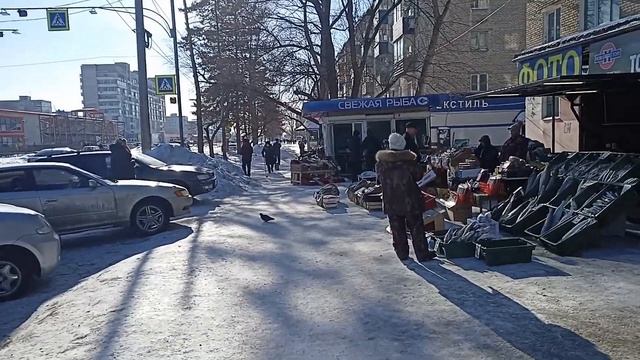 Рыбный рынок на 66-м (на Аллее Труда) смотреть онлайн