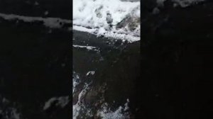 Сьемник для топливного  фильтра на Маз