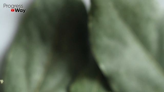 От ГРИБКА НОГТЕЙ можно избавиться за 1 минуту простым... Это точно есть у всех дома